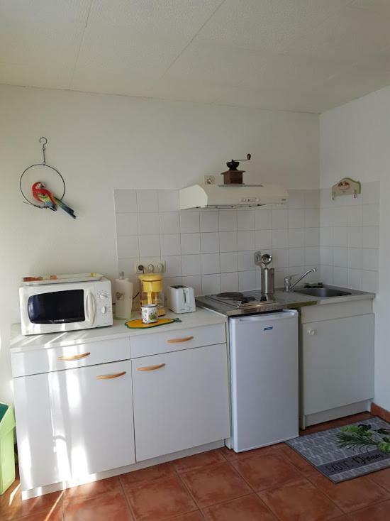 Studio Cote Sud Vert Sarlat-la-Caneda Εξωτερικό φωτογραφία